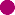 Purple Dot